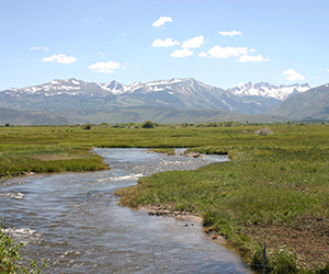 Rangeland stream and pasture