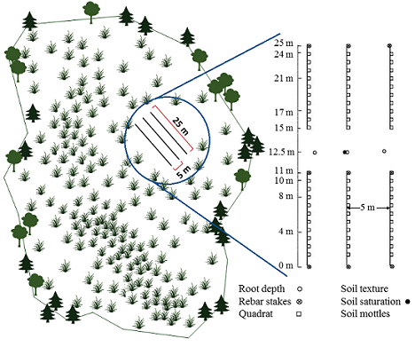 meadow plot figure