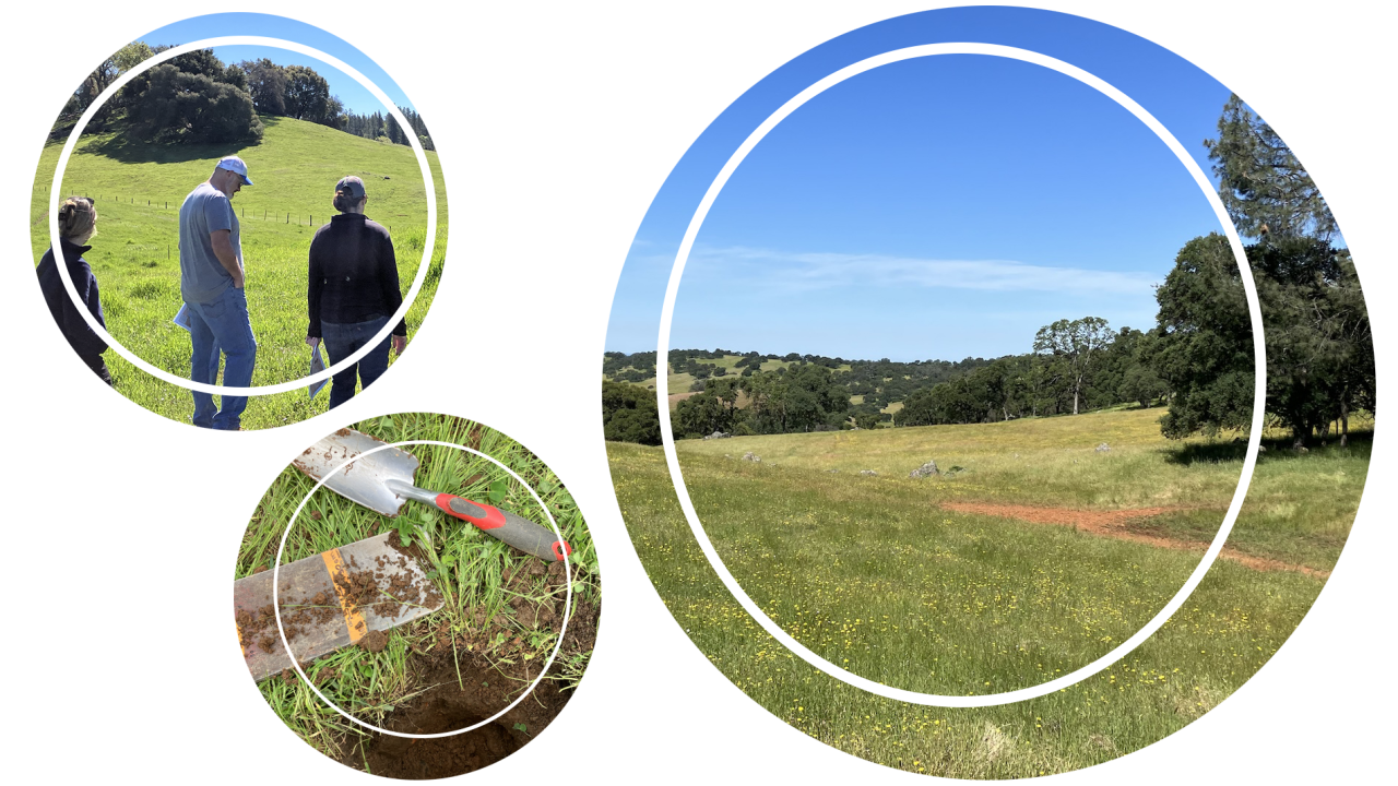 Three groupings of images: people standing in a field, close-up of soil and a green plant, wide view of a landscape under a blue sky.
