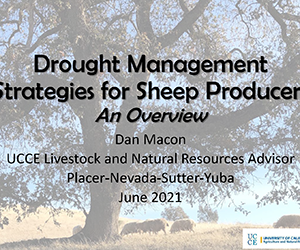 Drought Management Strategies </br>Dan Macon