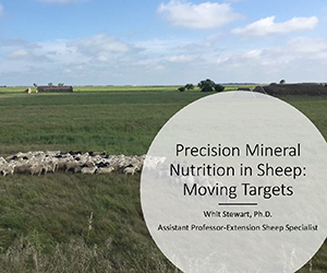 Precision Mineral Nutrition in Sheep</br>Whit Stewart