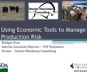 Economic Tools to Manage Production Risk </br> Bridger Fuez